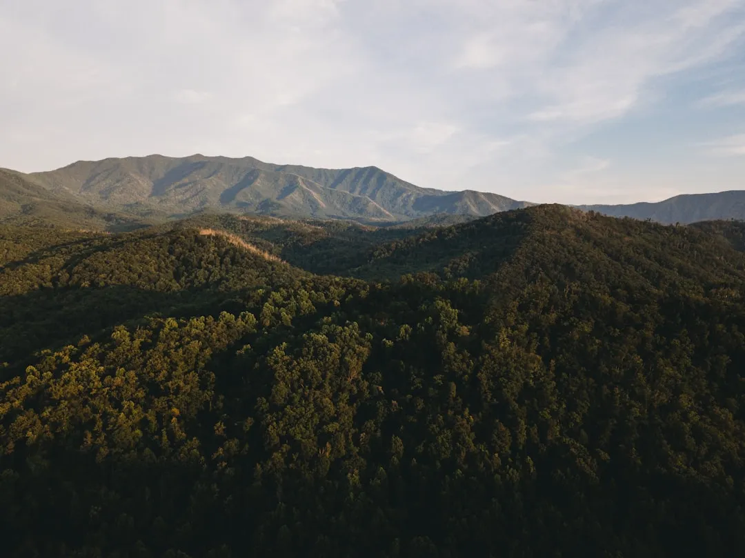 工业微波炉核心配件选型指南:风冷与水冷磁控管的区别及适用场景
